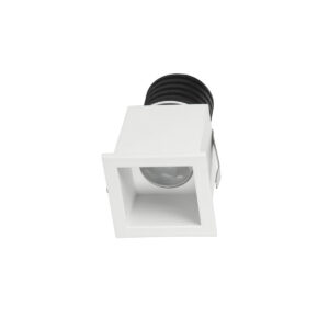 BI 1081