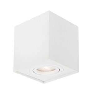 R 2026