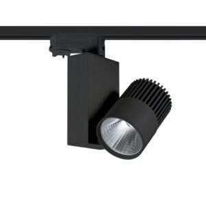 SR 7019